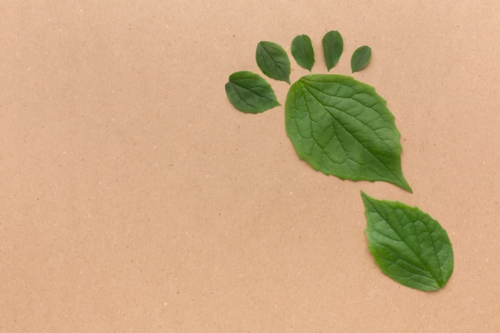 Karbon ayak izi nedir?