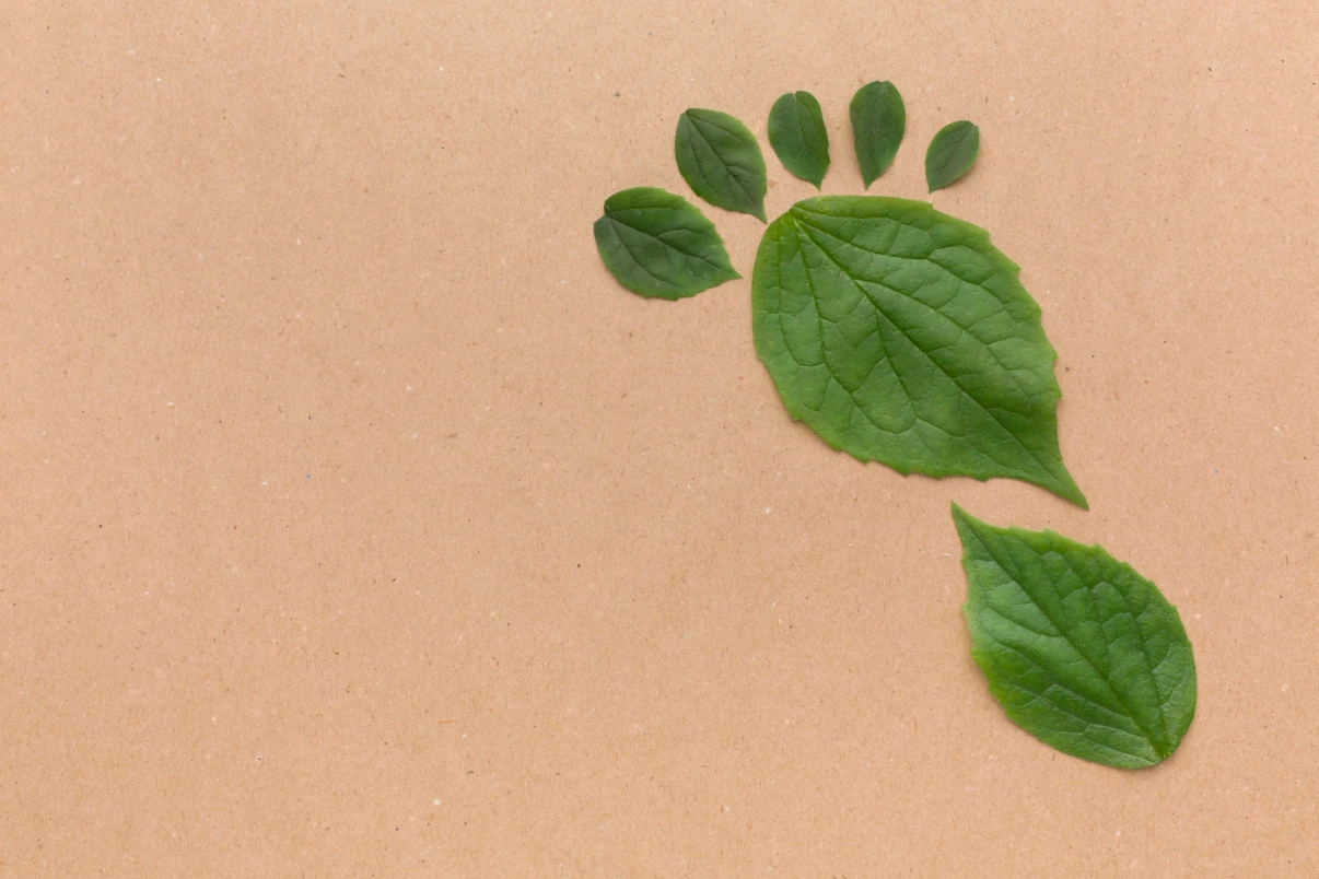 Karbon ayak izi nedir?