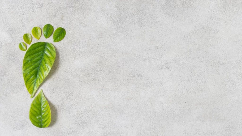 Karbon ayak izi nedir?